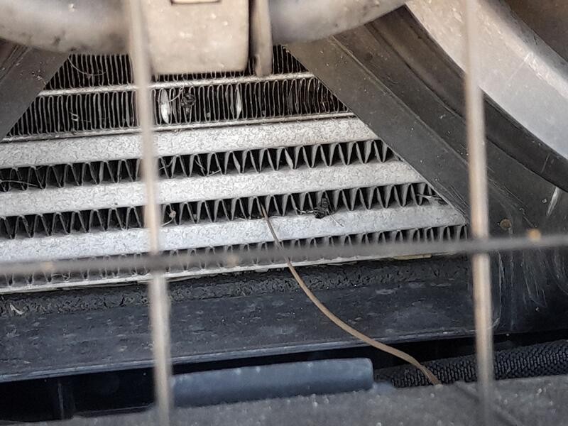 Recambio de intercooler para citroën c6 (td_) 2.7 hdi referencia OEM IAM 0384L6  