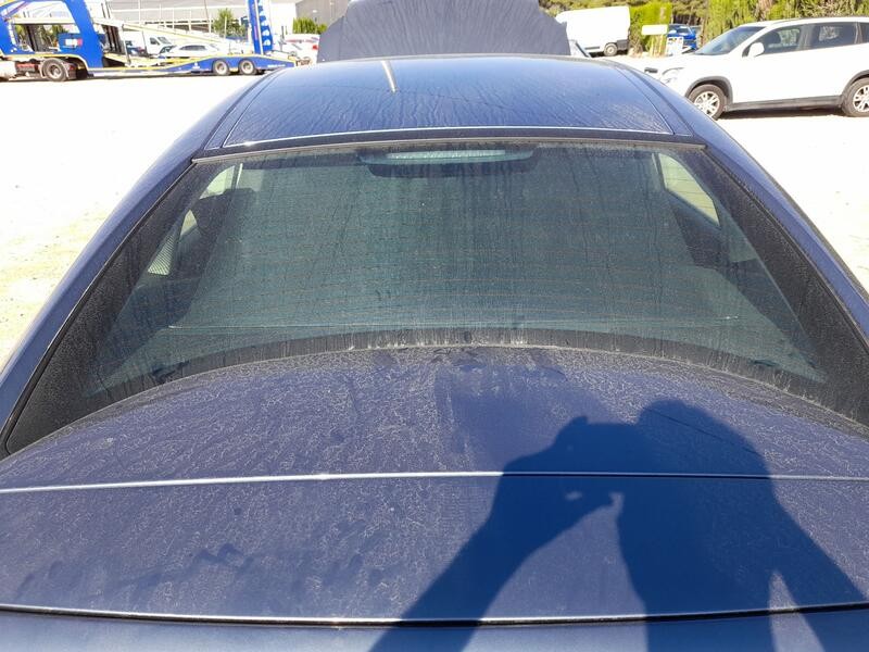 Recambio de luna trasera para citroën c6 (td_) 2.7 hdi referencia OEM IAM 8345C1  