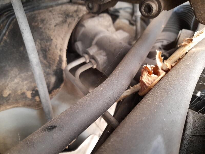 Recambio de cremallera direccion para seat ibiza iv (6j5, 6p1) 1.2 referencia OEM IAM 6R1423055K ASISTIDA 