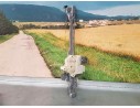 Recambio de elevalunas trasero derecho para peugeot 308 sw style referencia OEM IAM  6 PINS ELECTRICO